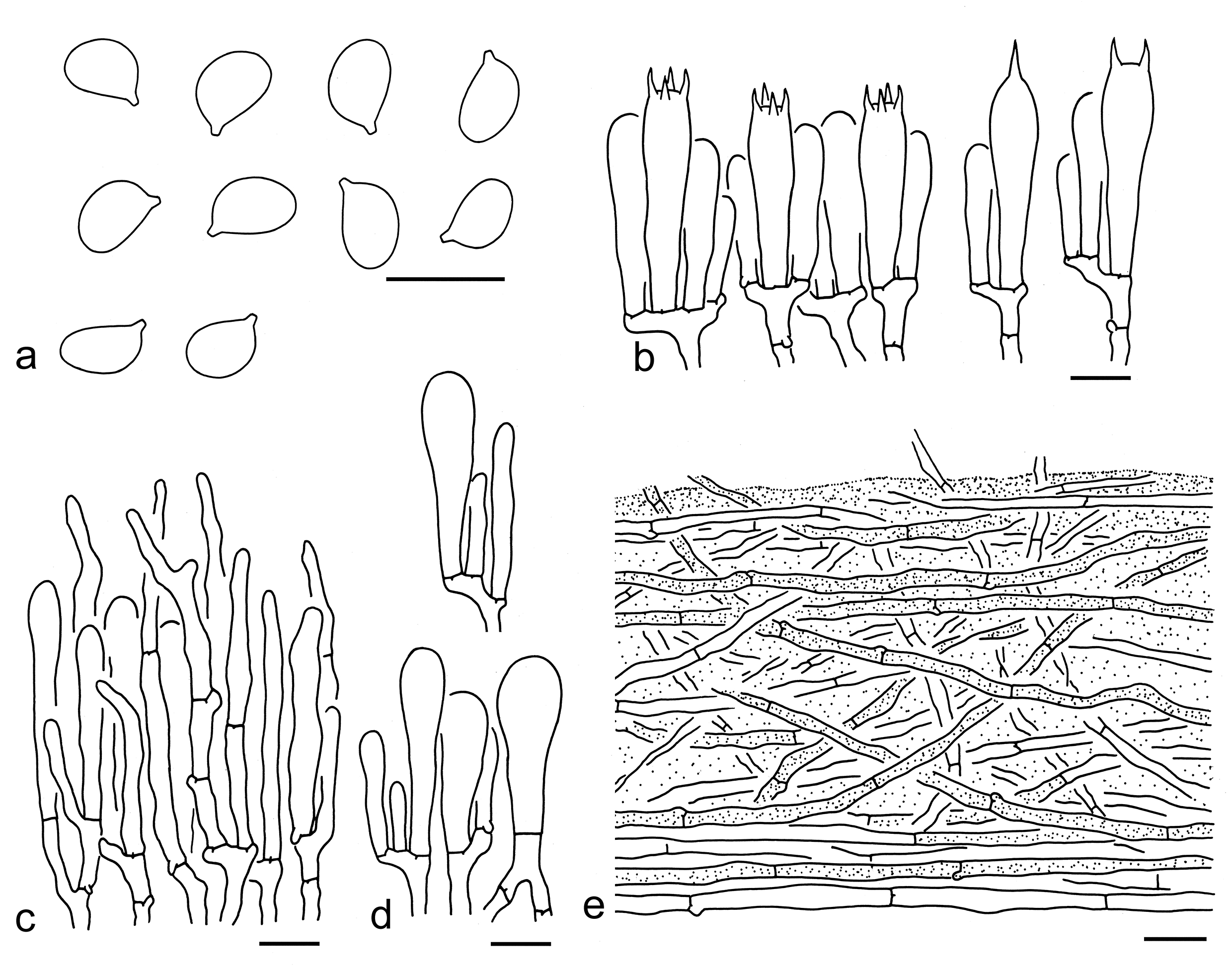 Figure 35